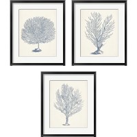 Framed Antique Coral Collection 3 Piece Framed Art Print Set