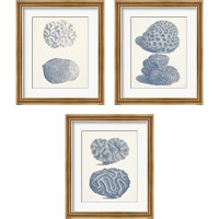 Framed 'Antique Coral Collection 3 Piece Framed Art Print Set' border=