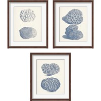 Framed 'Antique Coral Collection 3 Piece Framed Art Print Set' border=