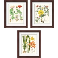 Framed Bright Botanicals 3 Piece Framed Art Print Set