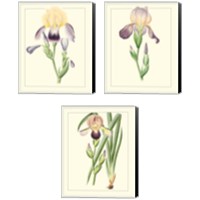 Framed 'Purple Irises 3 Piece Canvas Print Set' border=