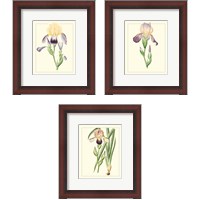 Framed Purple Irises 3 Piece Framed Art Print Set