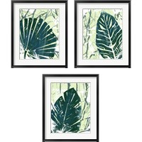 Framed 'Palm Pastiche 3 Piece Framed Art Print Set' border=