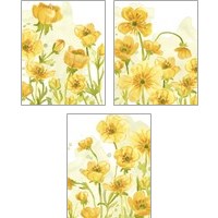 Framed 'Sunshine Meadow 3 Piece Art Print Set' border=