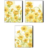 Framed 'Sunshine Meadow 3 Piece Canvas Print Set' border=