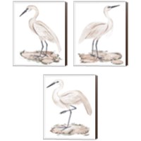 Framed 'White Heron 3 Piece Canvas Print Set' border=