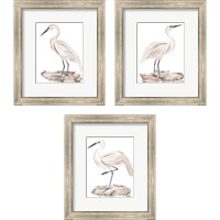 Framed 'White Heron 3 Piece Framed Art Print Set' border=