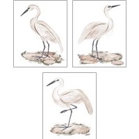 Framed 'White Heron 3 Piece Art Print Set' border=