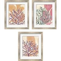 Framed 'Chromatic Sea Tangle 3 Piece Framed Art Print Set' border=