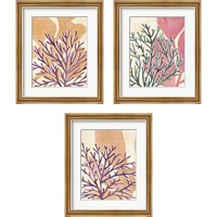 Framed 'Chromatic Sea Tangle 3 Piece Framed Art Print Set' border=