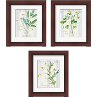 Framed 'Floursack Herbs 3 Piece Framed Art Print Set' border=