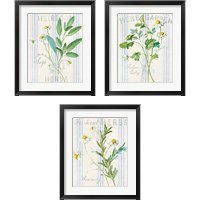 Framed 'Floursack Herbs 3 Piece Framed Art Print Set' border=