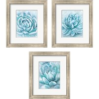 Framed 'Aqua Succulen 3 Piece Framed Art Print Set' border=