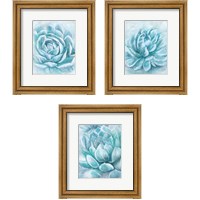 Framed Aqua Succulen 3 Piece Framed Art Print Set