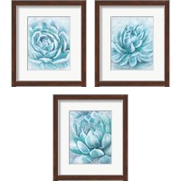 Framed 'Aqua Succulen 3 Piece Framed Art Print Set' border=