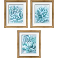 Framed 'Aqua Succulen 3 Piece Framed Art Print Set' border=