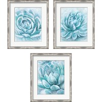 Framed 'Aqua Succulen 3 Piece Framed Art Print Set' border=