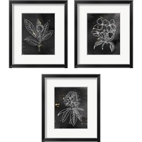 Framed 'Indigo Blooms Black 3 Piece Framed Art Print Set' border=