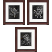 Framed 'Indigo Blooms Black 3 Piece Framed Art Print Set' border=