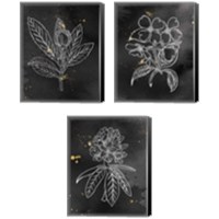 Framed 'Indigo Blooms Black 3 Piece Canvas Print Set' border=