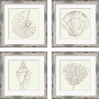 Framed 'Coastal Breeze Sketches Silver 4 Piece Framed Art Print Set' border=