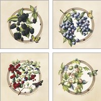 Framed 'Traditional Fruit 4 Piece Art Print Set' border=