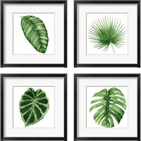 Framed Rainforest Jewel 4 Piece Framed Art Print Set