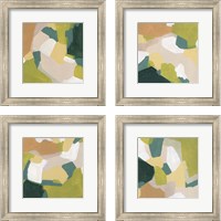 Framed Field Survey 4 Piece Framed Art Print Set