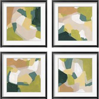 Framed Field Survey 4 Piece Framed Art Print Set