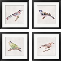 Framed 'Bird Sketch 4 Piece Framed Art Print Set' border=