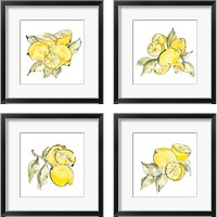 Framed 'Lemon Still Life 4 Piece Framed Art Print Set' border=