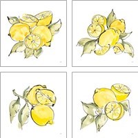 Framed 'Lemon Still Life 4 Piece Art Print Set' border=