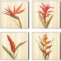 Framed 'Tropical Garden 4 Piece Canvas Print Set' border=