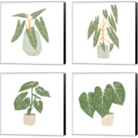 Framed Philodendron Billietiae 4 Piece Canvas Print Set