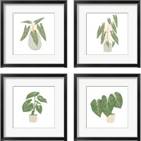 Framed Philodendron Billietiae 4 Piece Framed Art Print Set