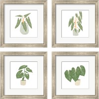 Framed 'Philodendron Billietiae 4 Piece Framed Art Print Set' border=