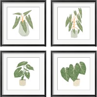 Framed Philodendron Billietiae 4 Piece Framed Art Print Set