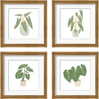 Framed 'Philodendron Billietiae 4 Piece Framed Art Print Set' border=