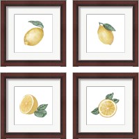 Framed 'Citrus Limon 4 Piece Framed Art Print Set' border=