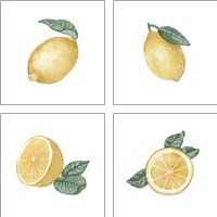 Framed 'Citrus Limon 4 Piece Art Print Set' border=