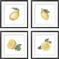 Framed 'Citrus Limon 4 Piece Framed Art Print Set' border=