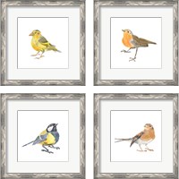 Framed 'Songbird 4 Piece Framed Art Print Set' border=
