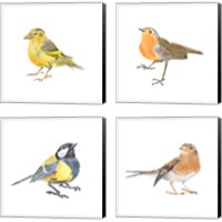 Framed 'Songbird 4 Piece Canvas Print Set' border=