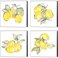 Framed 'Lemons 4 Piece Canvas Print Set' border=