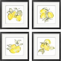 Framed 'Lemons 4 Piece Framed Art Print Set' border=