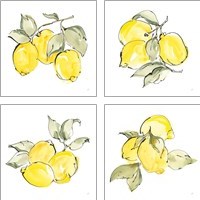 Framed 'Lemons 4 Piece Art Print Set' border=