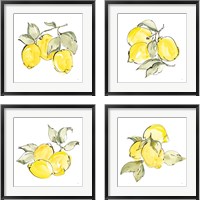Framed 'Lemons 4 Piece Framed Art Print Set' border=