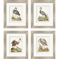Framed 'Antique Heron & Cranes 4 Piece Framed Art Print Set' border=