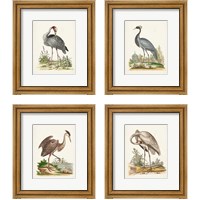 Framed Antique Heron & Cranes 4 Piece Framed Art Print Set