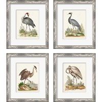 Framed 'Antique Heron & Cranes 4 Piece Framed Art Print Set' border=